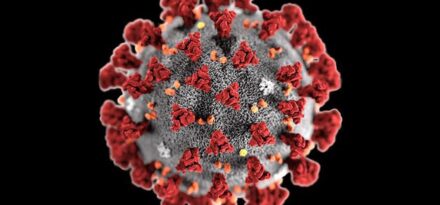 Πόση ώρα ζει ο κορωνοϊός στο δέρμα και στα χέρια μας; Πόσο στα άλλα αντικείμενα;