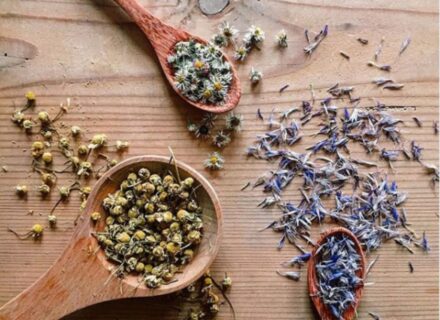 Ποια βότανα φέρνουν ευτυχία, συγκέντρωση και δύναμη